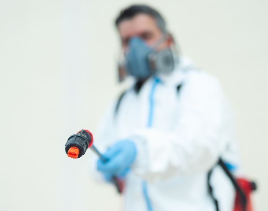 Servicio de fumigación profesional